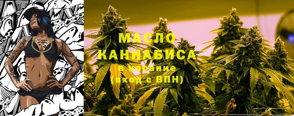 молекула духа Переславль-Залесский