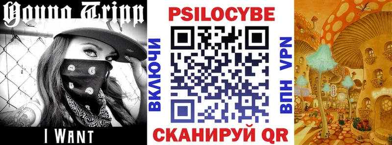 Псилоцибиновые грибы MAGIC MUSHROOMS  darknet телеграм  Учалы 